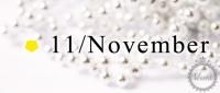 11 / November / ȥѡȥ / 