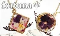fortuna* /꡼ǥʡ