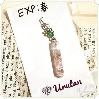 EXP:春