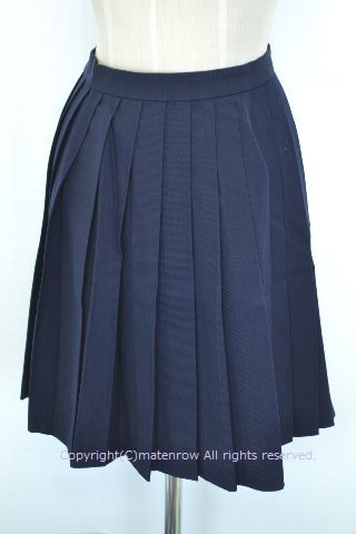 制服図鑑(過去買取実績　※現在は販売しておりません） 桜ヶ丘高校 冬スカート