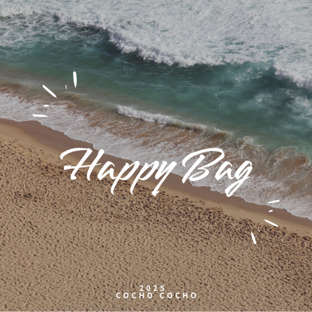 <img class='new_mark_img1' src='https://img.shop-pro.jp/img/new/icons14.gif' style='border:none;display:inline;margin:0px;padding:0px;width:auto;' /> HAPPY BAG Boyl Kids (1-2y,2-3y,3-4y)