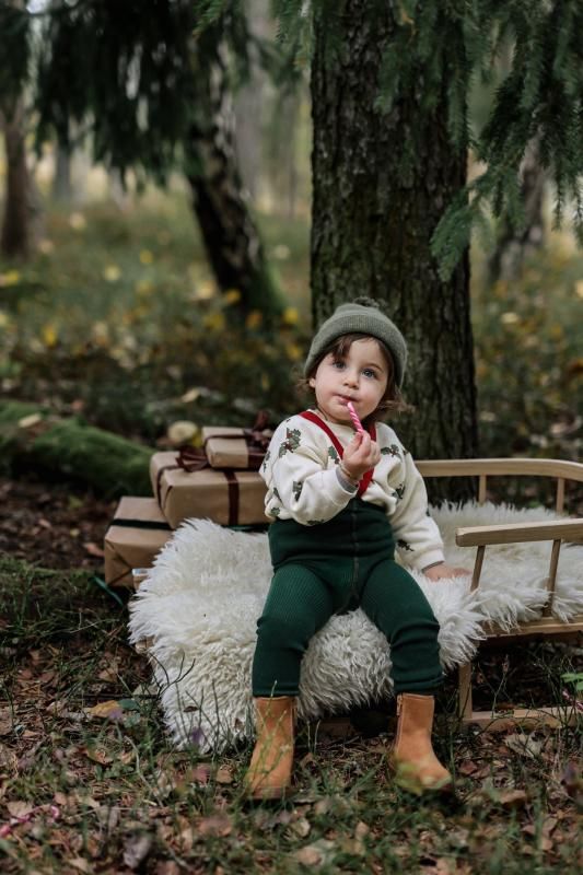 AW24 organic zoo Christmas Holly Sweatshirt (1-2y,2-3y,3-4y AW24 organic zoo Christmas Holly Sweatshirt (1-2y,2-3y,3-4y