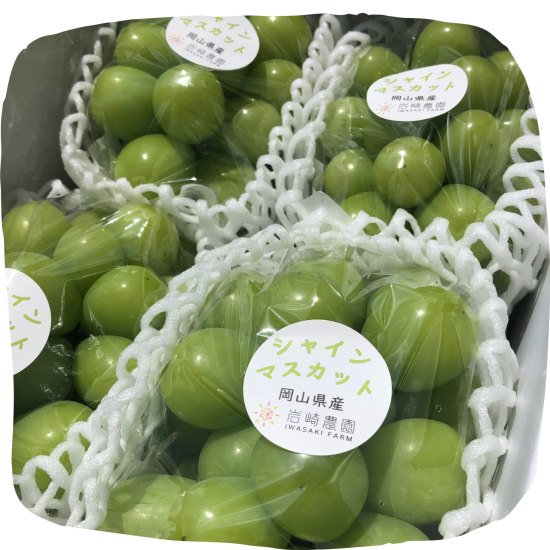 専用出品　岡山県産シャインマスカット　約3.0kg 夏のシャインマスカット 大房（約700g）【7月下旬～8月中旬発送