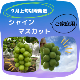 <img class='new_mark_img1' src='https://img.shop-pro.jp/img/new/icons27.gif' style='border:none;display:inline;margin:0px;padding:0px;width:auto;' />ڣܰʹȯۢѢ㥤ޥå