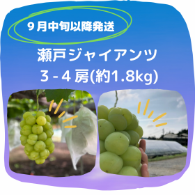 ڣܰʹȯۢեȢͥ㥤 -˼1.8kg