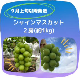 ڣܰʹȯۢեȢ㥤ޥåȣ˼1kg