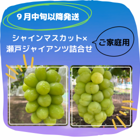 ڣܰʹȯۢѢ㥤ޥåȡͥ㥤ĵ͹礻