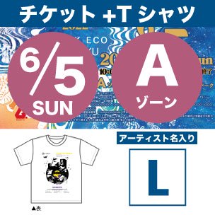 6月5日 Aゾーン 環境応援Tシャツ付チケット Lサイズ