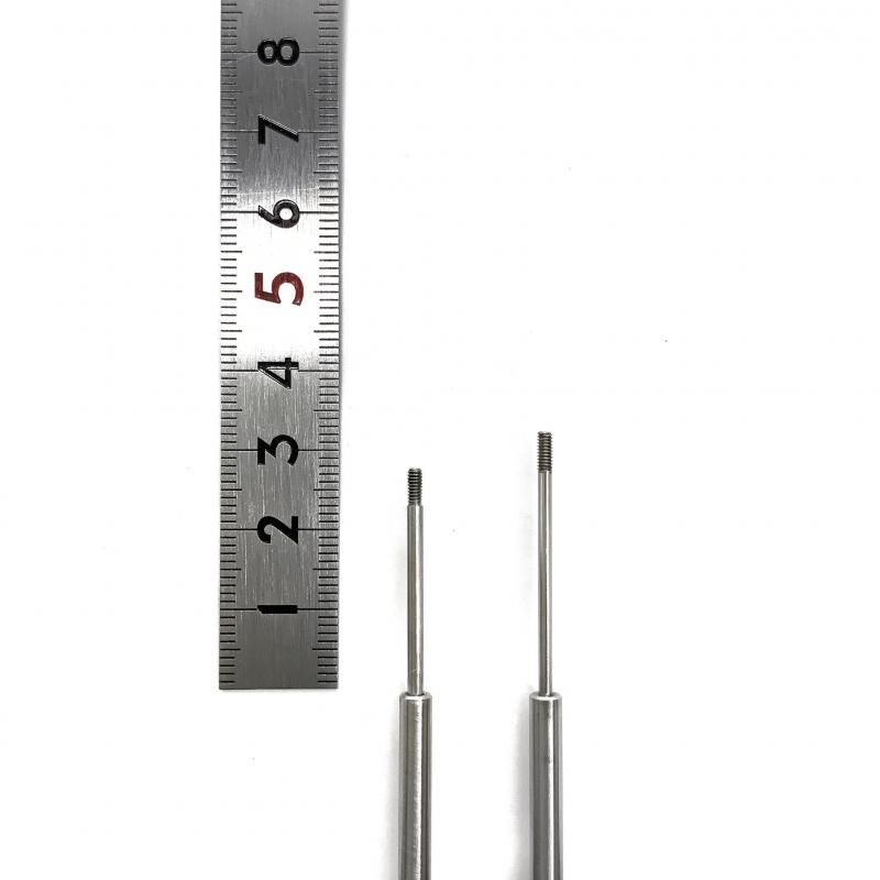 ΤΤߡۥƥ쥹ͥ󤶤ѡĢñλԲ