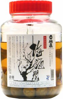 竹泉 純米酒仕込み 梅酒（広口瓶）2.7L【要冷蔵】