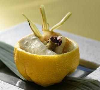 ☆豆腐様  専用☆ 三之助 只管豆腐