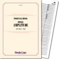 () AMPLITUDE / ʡ¿Ƿ (ճ)(+ѡ)