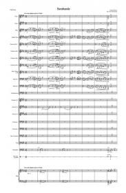 ڿճ +ѡ<br>Хɡ<br>ʡɥӥåԶʡ롢åǥ