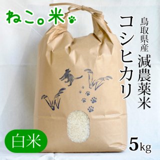 コシヒカリ白米5kg