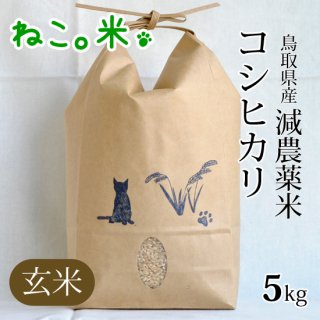 コシヒカリ玄米5kg