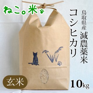 コシヒカリ玄米10kg