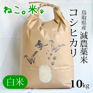 コシヒカリ白米10kg