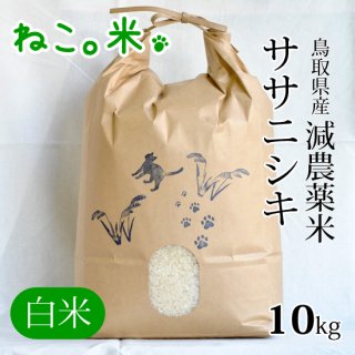 ササニシキ白米10kg