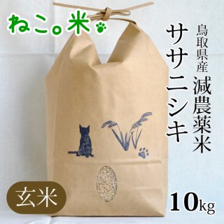 ササニシキ玄米10kg