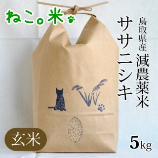 ササニシキ玄米5kg