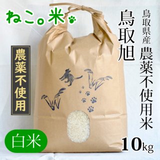 鳥取旭白米10kg（農薬不使用）