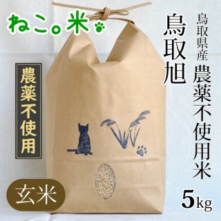 鳥取旭玄米5kg（農薬不使用）
