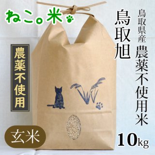 鳥取旭玄米10kg（農薬不使用）