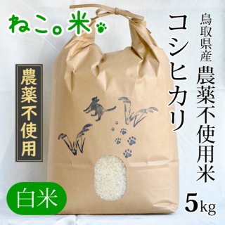 コシヒカリ白米5kg（農薬不使用）