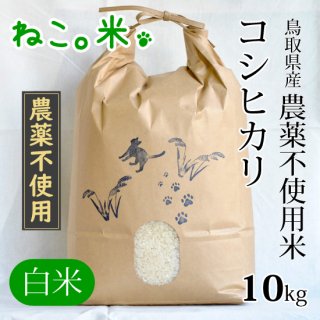 コシヒカリ白米10kg（農薬不使用）