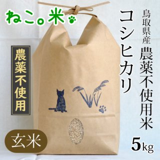 コシヒカリ玄米5kg（農薬不使用）
