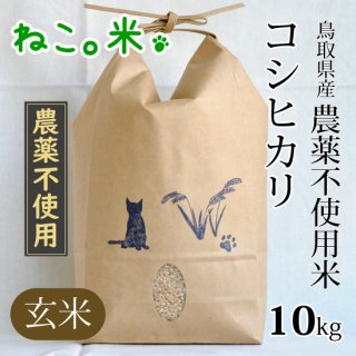 コシヒカリ玄米10kg（農薬不使用）