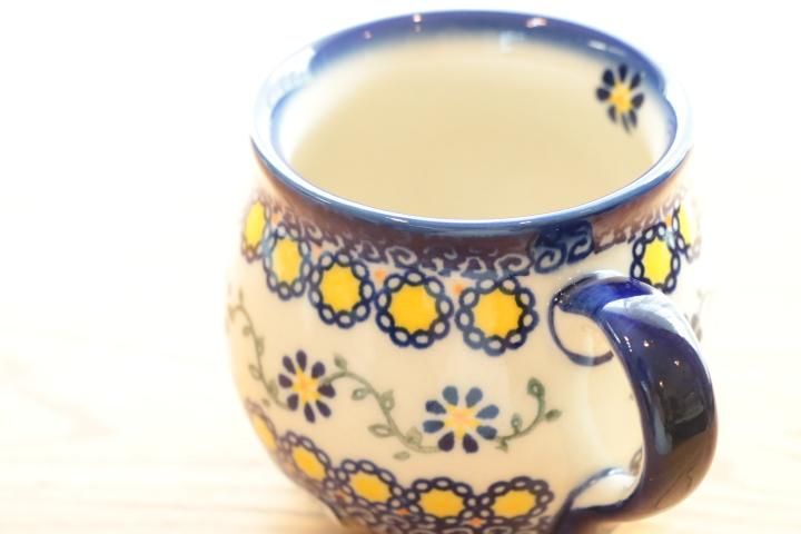 Polish Potteryポーリッシュ・ポタリー◇マグカップ◇VENA