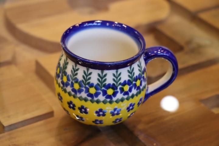 Polish Pottery◇ポーリッシュ ポタリー◇VENA◇ヴェナ