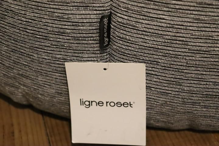 ligne roset(リーンロゼ)のBrigantin(ブリガンタン) 一人掛け ligne roset(リーンロゼ)のBrigantin(ブリガンタン) 一人掛け