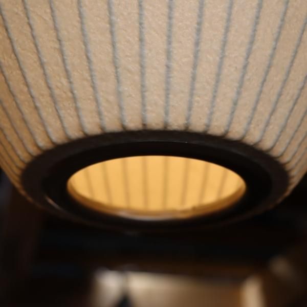 MODERNICA(モダニカ)のBubble Lamp Pendant Cigar(バブルランプ MODERNICA(モダニカ)のBubble Lamp Pendant Cigar(バブルランプ