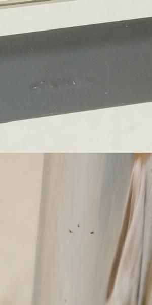 Cassina ixc.(カッシーナ イクスシー)で取り扱われているル Cassina ixc.(カッシーナ イクスシー)で取り扱われているル