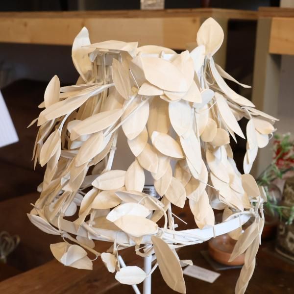 DI CLASSE(ディクラッセ)の“森シリーズ”のPaper-Foresti DI CLASSE(ディクラッセ)の“森シリーズ”のPaper-Foresti