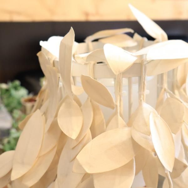 DI CLASSE(ディクラッセ)の“森シリーズ”のPaper-Foresti DI CLASSE(ディクラッセ)の“森シリーズ”のPaper-Foresti