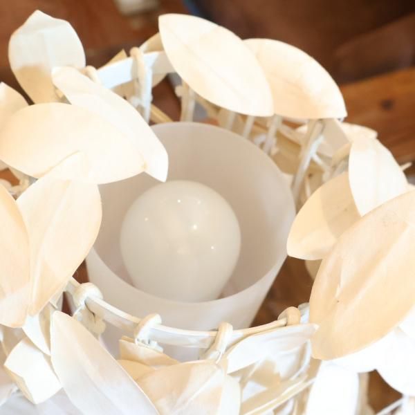 DI CLASSE(ディクラッセ)の“森シリーズ”のPaper-Foresti DI CLASSE(ディクラッセ)の“森シリーズ”のPaper-Foresti