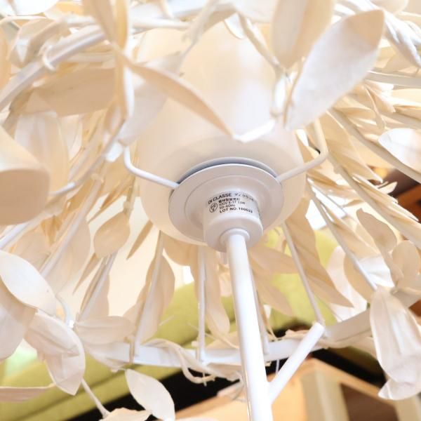 DI CLASSE(ディクラッセ)の“森シリーズ”のPaper-Foresti DI CLASSE(ディクラッセ)の“森シリーズ”のPaper-Foresti