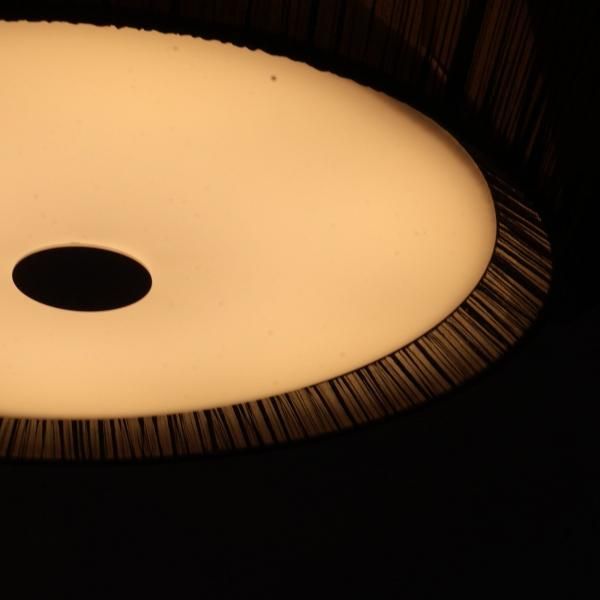 YAMAGIWA BAUM シーリングライト 定価125,400円 バウム シーリングライト | ヤマギワ(Yamagiwa) | リグナ通常品