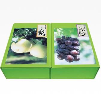 ぶどう・なしセット（2kg＋2.5kg）ぶどう3～5房・梨5～7個 9/5