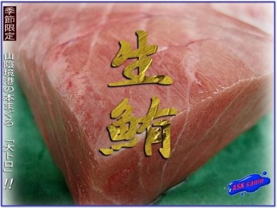 生黒マグロ、大トロ500g - asksanin 山陰境港