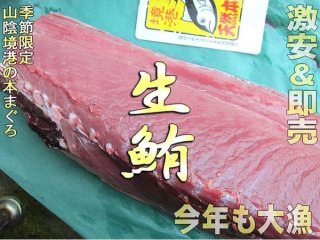 ޥ1硡510kg