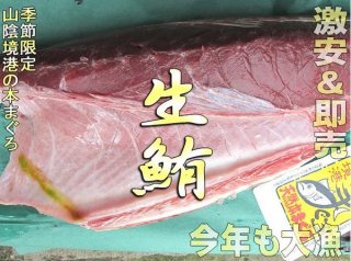 ޥʢ1硡510kg