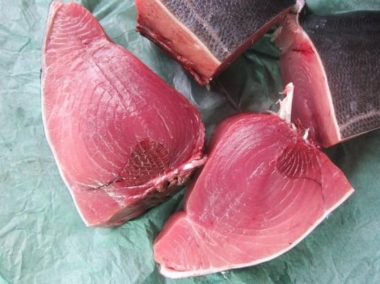 生黒マグロ、腹下3～6kg 超贅沢!! - asksanin 山陰境港