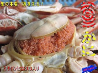 名人の浜茹で「セコ蟹1kg」7尾入り/冷凍品