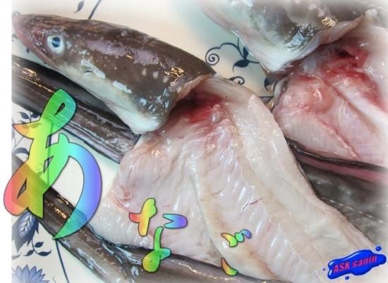 鮮度が命!!「穴子の開き1kg」山陰境港産 - asksanin 山陰境港