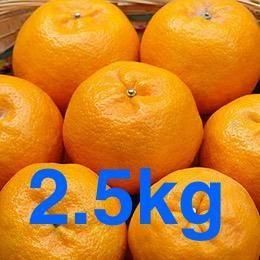 11/25ѥݥ󥫥 2.5kg(̵)