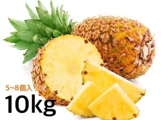 ڼսλѻѥʥåץ10kg
